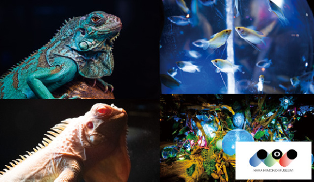いきものミュージアム