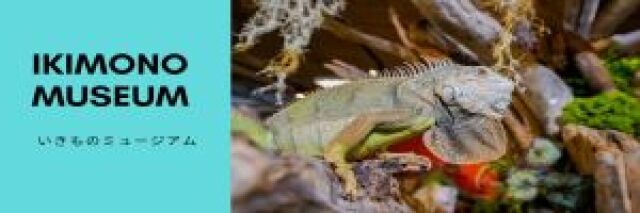 [4F]いきものミュージアム