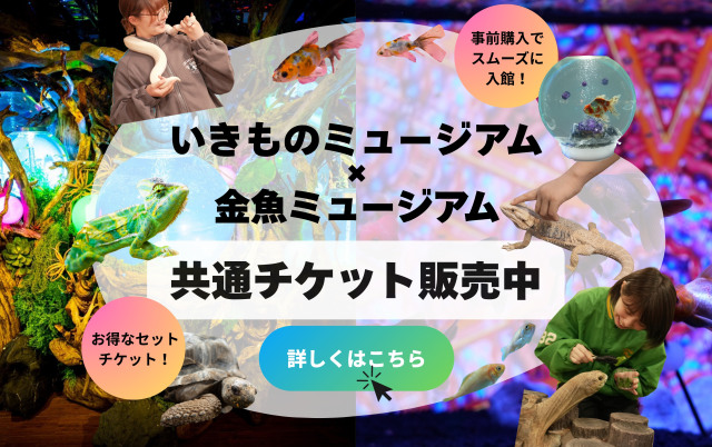 UWS共通チケットバナー